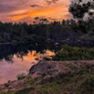 Meet your Posher, Elsa